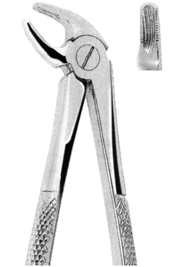 Extracting Forceps American pattern