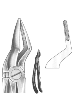 Extracting Forceps English pattern