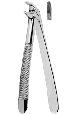 Extracting Forceps American pattern