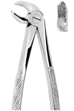 Extracting Forceps American pattern