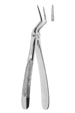 Extracting Forceps English pattern