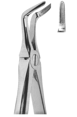 Extracting Forceps English pattern