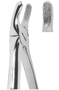 Extracting Forceps English pattern