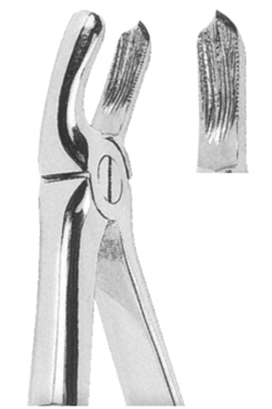 Extracting Forceps English pattern