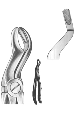 Extracting Forceps English pattern