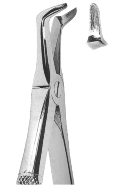 Extracting Forceps English pattern